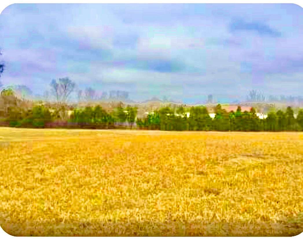 7.4 Acres of Residential Land for Sale in Mount Juliet, Tennessee