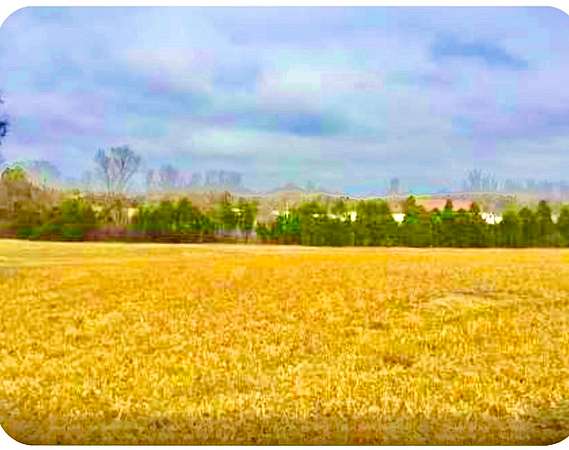 7.4 Acres of Residential Land for Sale in Mount Juliet, Tennessee