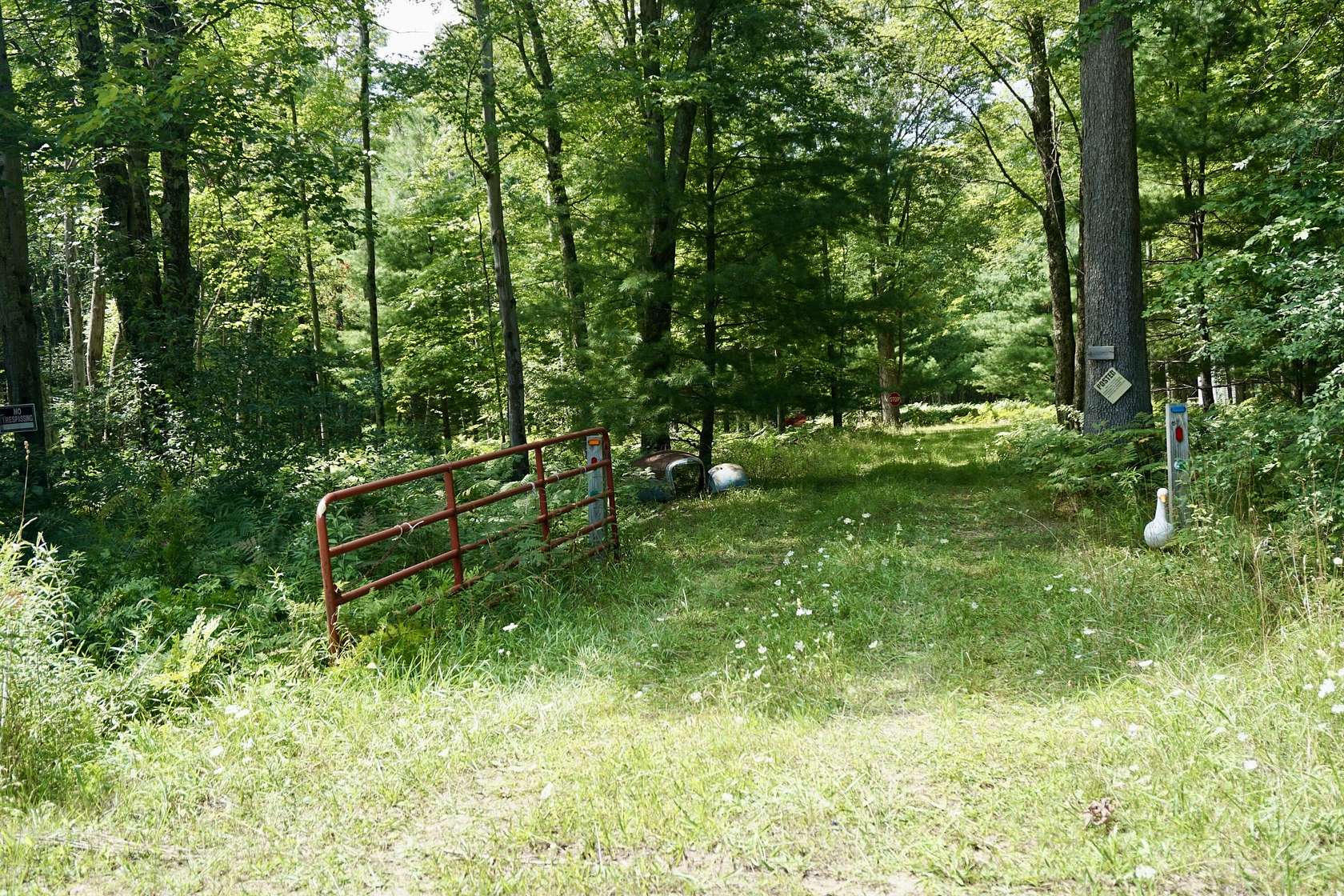 19.9 Acres of Recreational Land for Sale in Branch Township, Michigan