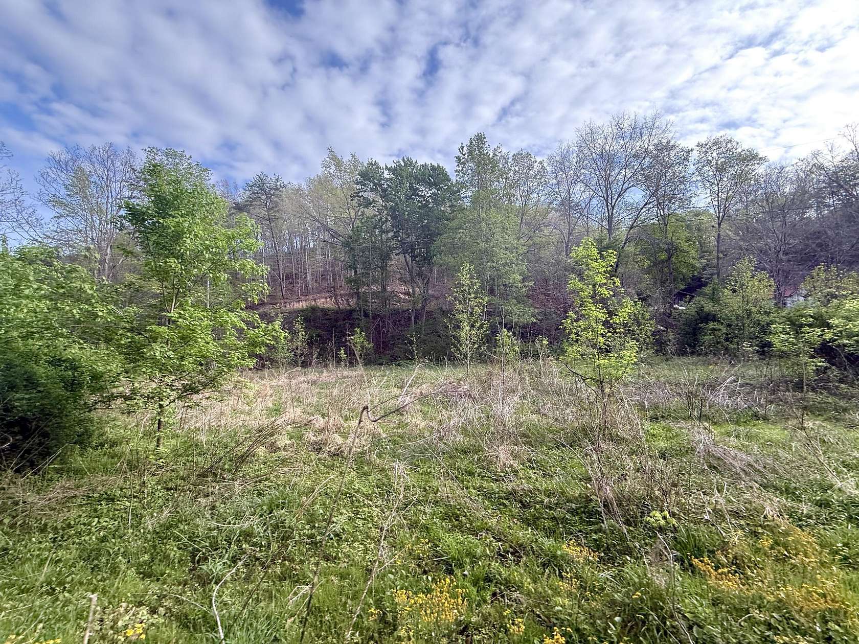 4.66 Acres of Land for Sale in Irvine, Kentucky