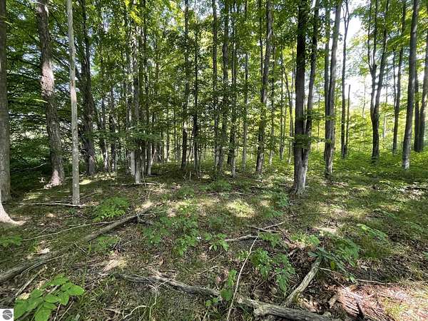 17.3 Acres of Agricultural Land for Sale in Kingsley, Michigan