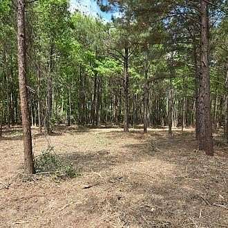 5 Acres of Residential Land for Sale in Grand Cane, Louisiana