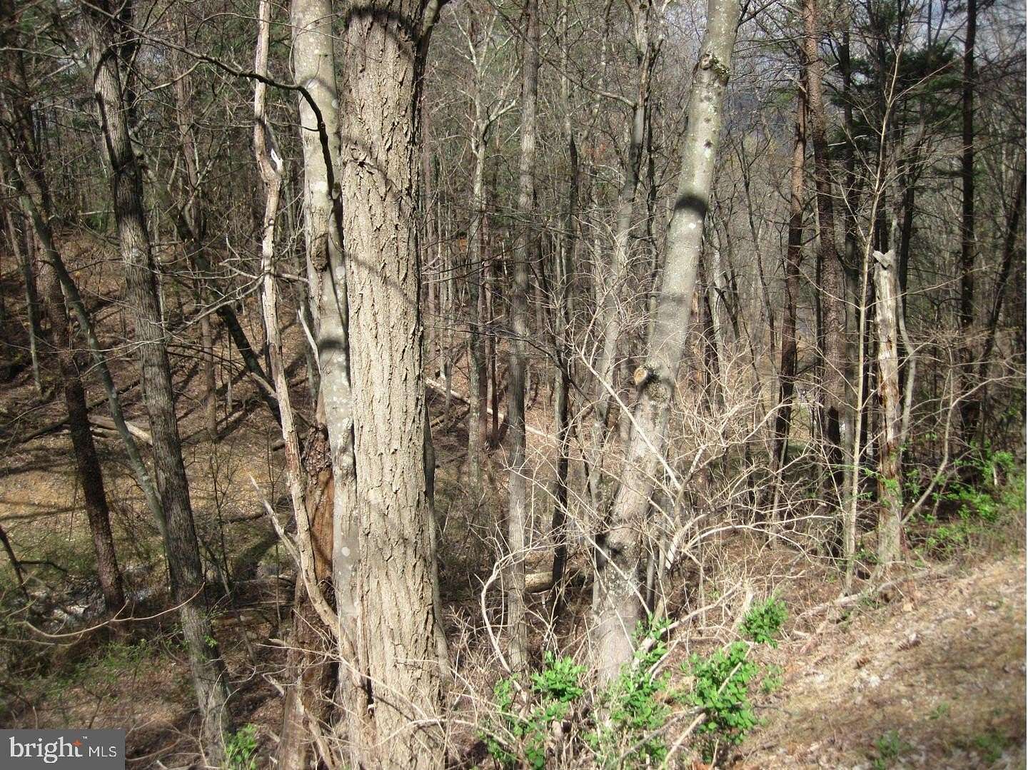 0.69 Acres of Residential Land for Sale in Basye, Virginia