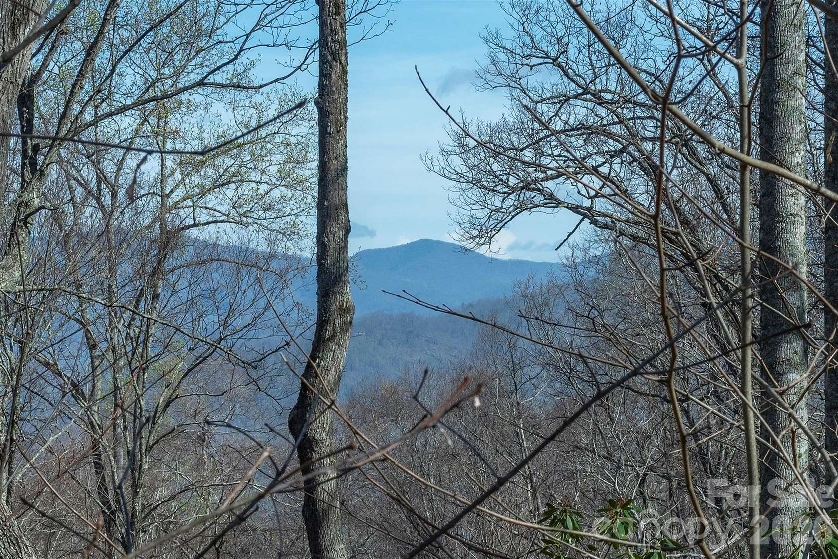 Residential Land for Sale in Swannanoa, North Carolina