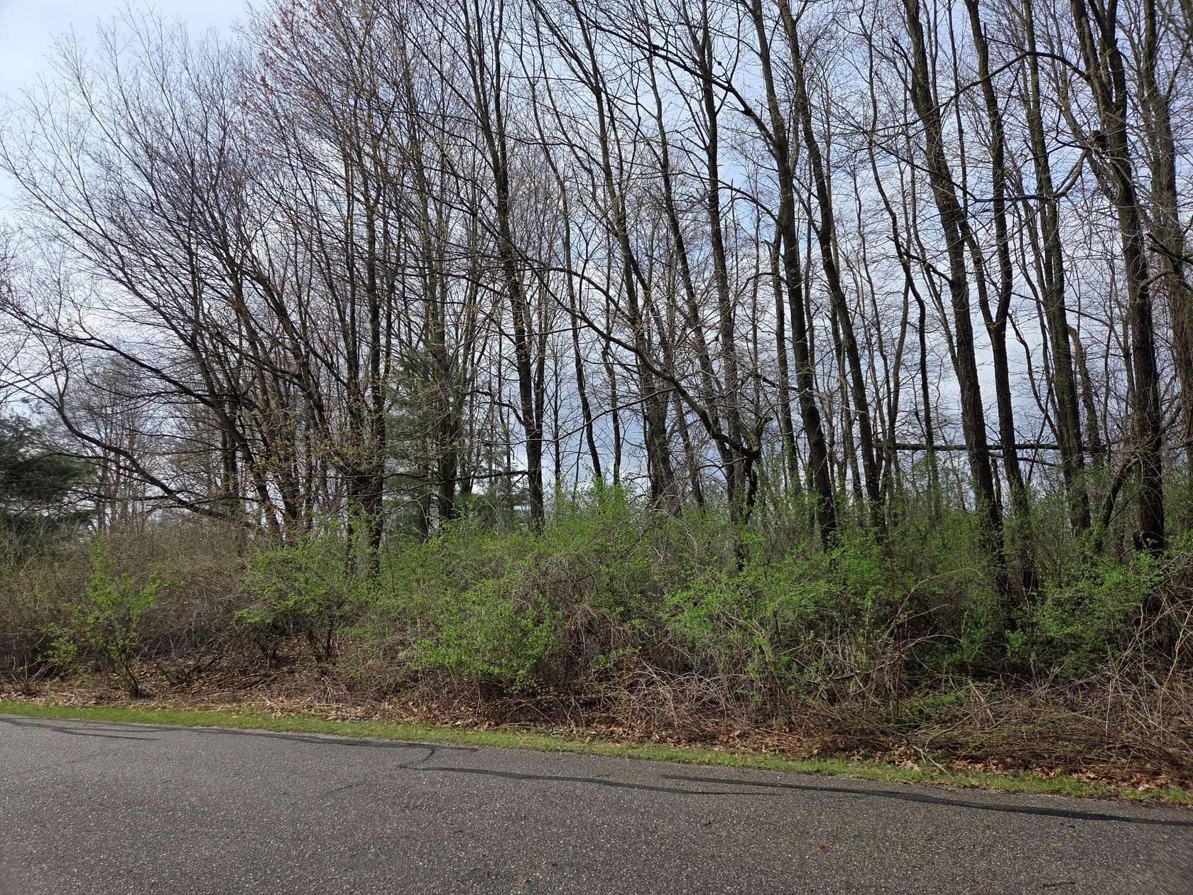 1 Acre of Residential Land for Sale in Gowen, Michigan