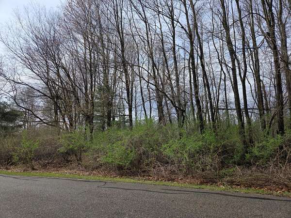 1 Acre of Residential Land for Sale in Gowen, Michigan