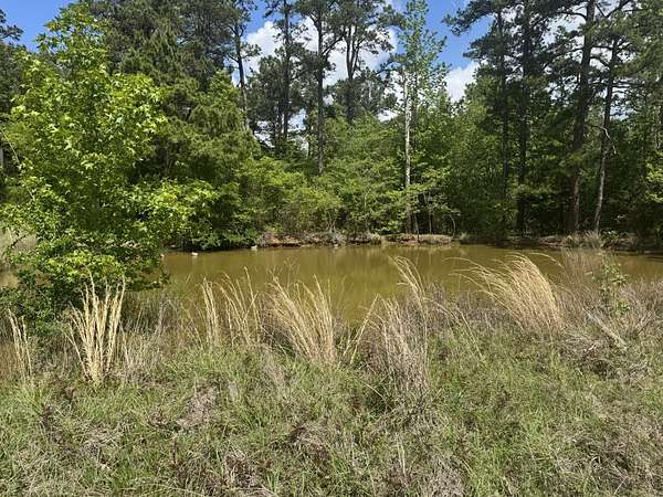 11.1 Acres of Land for Sale in Henderson, Texas