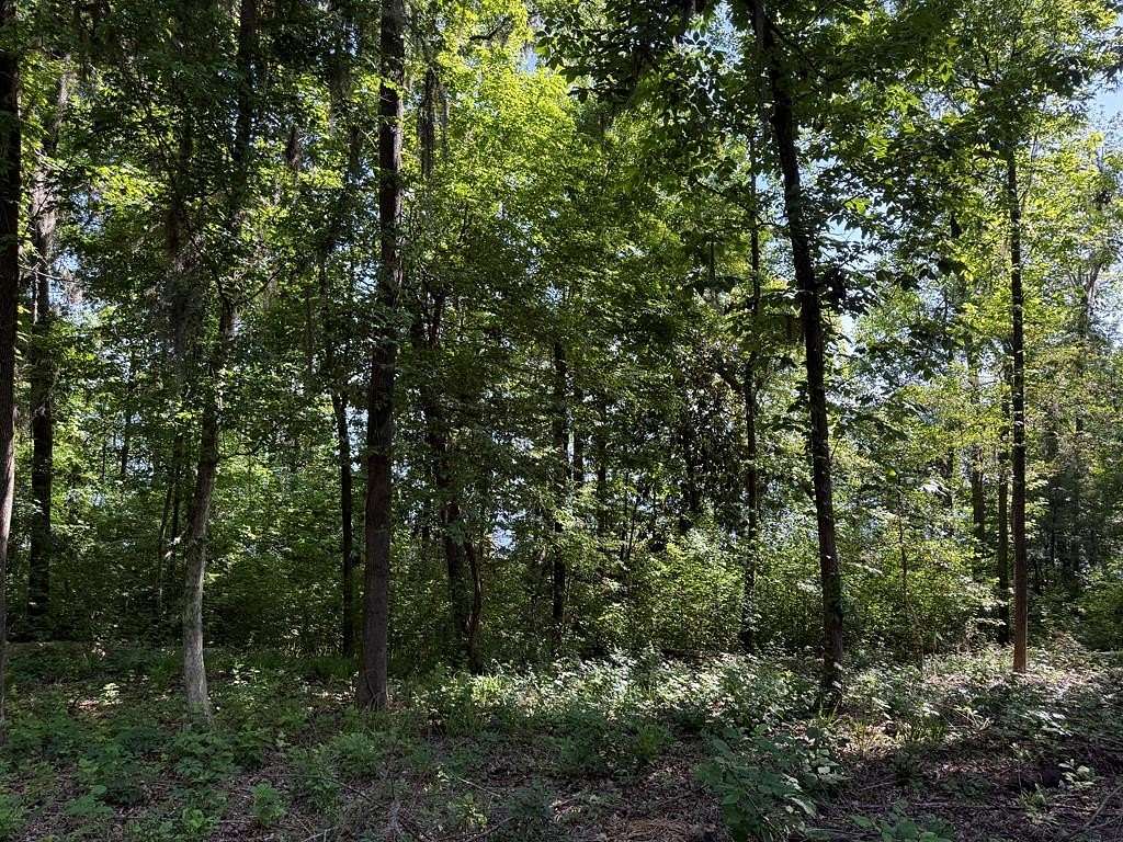 1.65 Acres of Residential Land for Sale in Bainbridge, Georgia