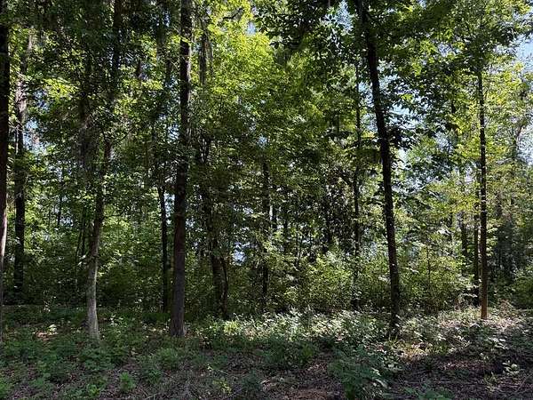 1.65 Acres of Residential Land for Sale in Bainbridge, Georgia