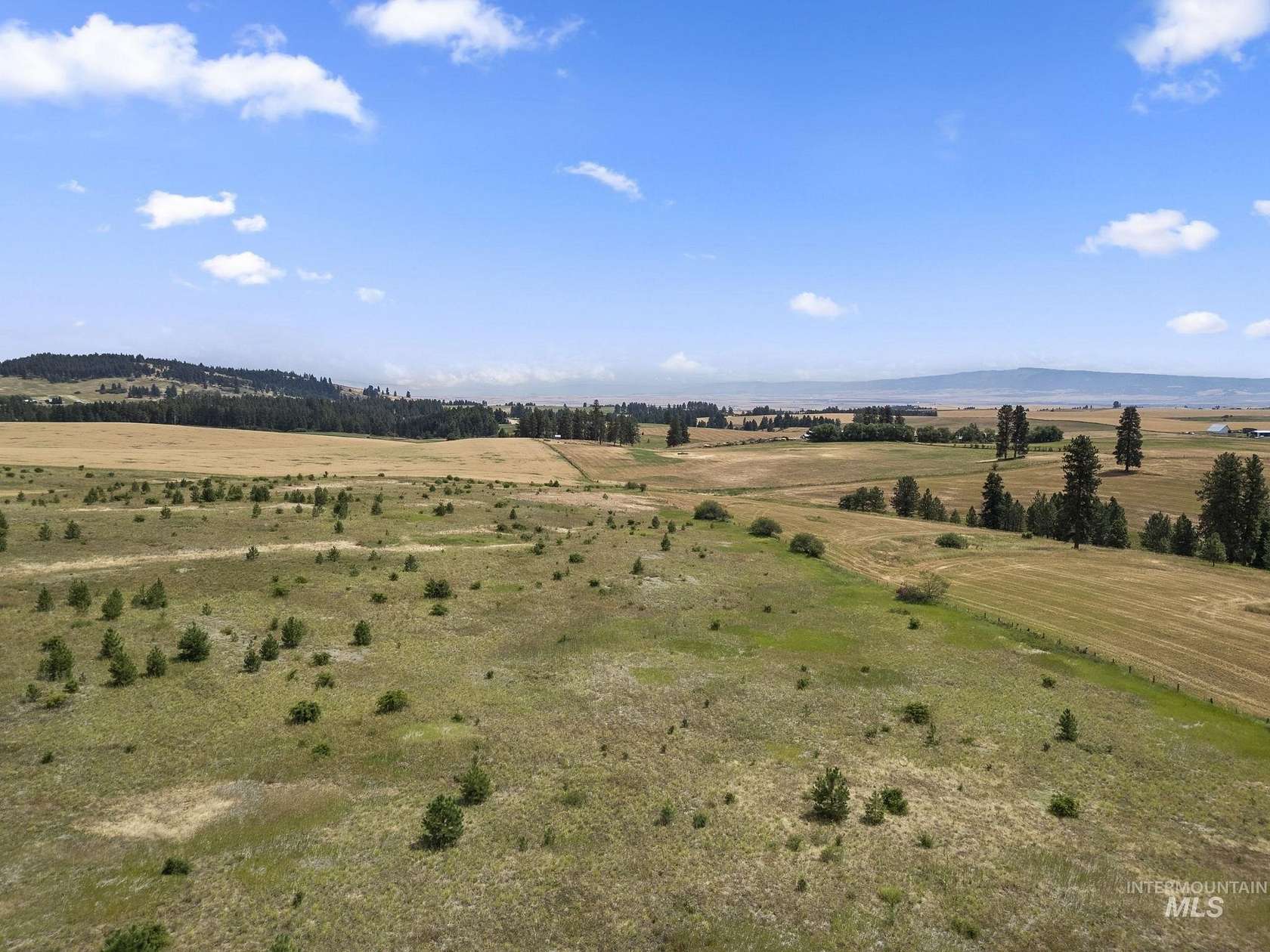 40 Acres of Land for Sale in Cottonwood, Idaho