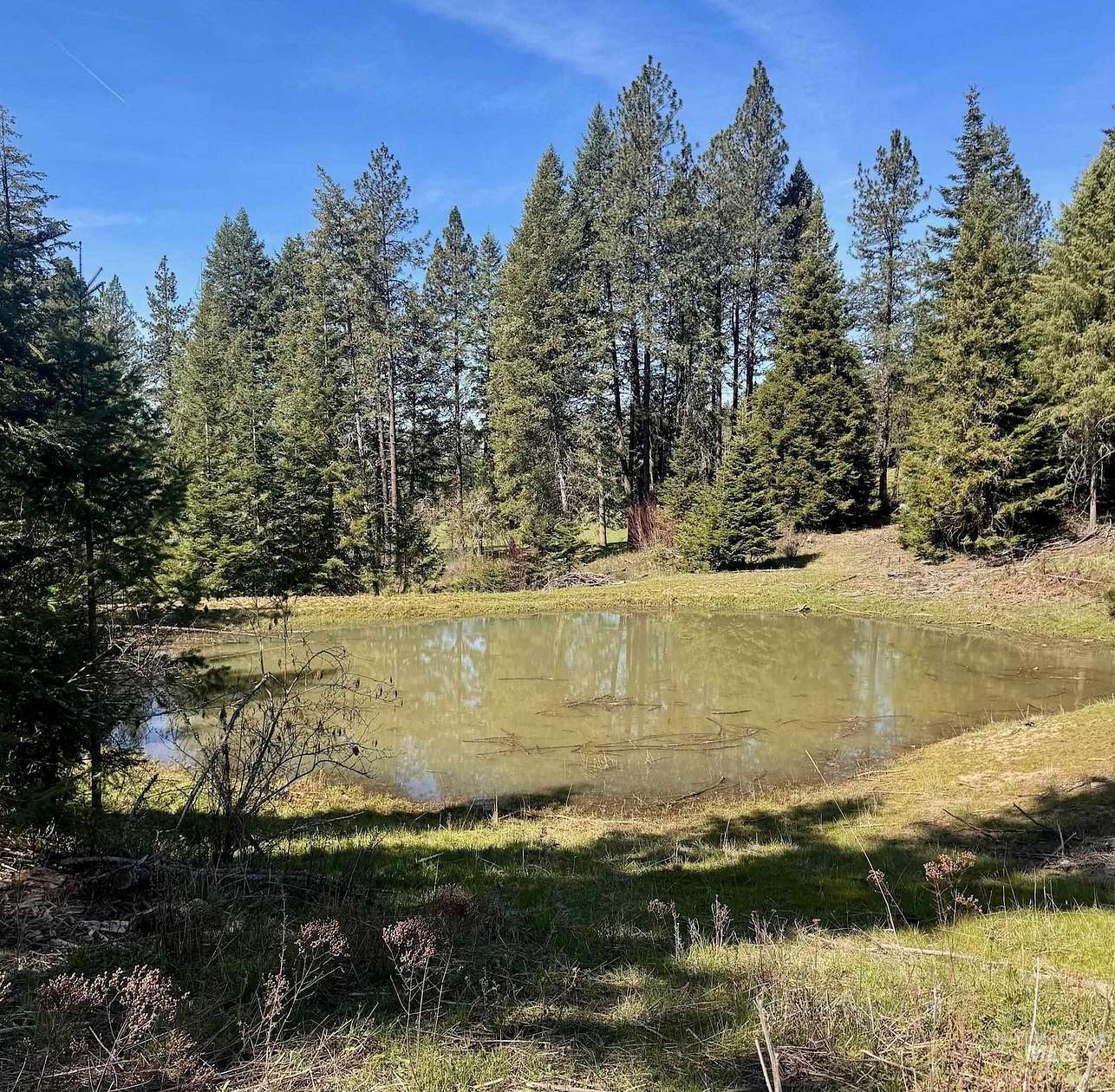 11.8 Acres of Recreational & Residential Land for Sale in Kooskia, Idaho
