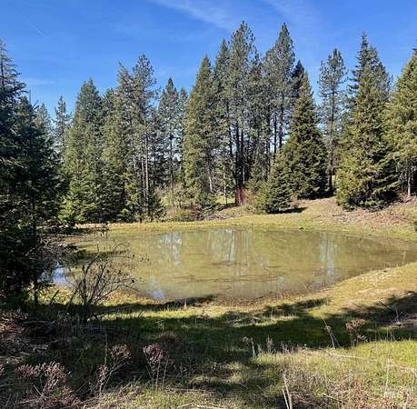 11.8 Acres of Recreational & Residential Land for Sale in Kooskia, Idaho