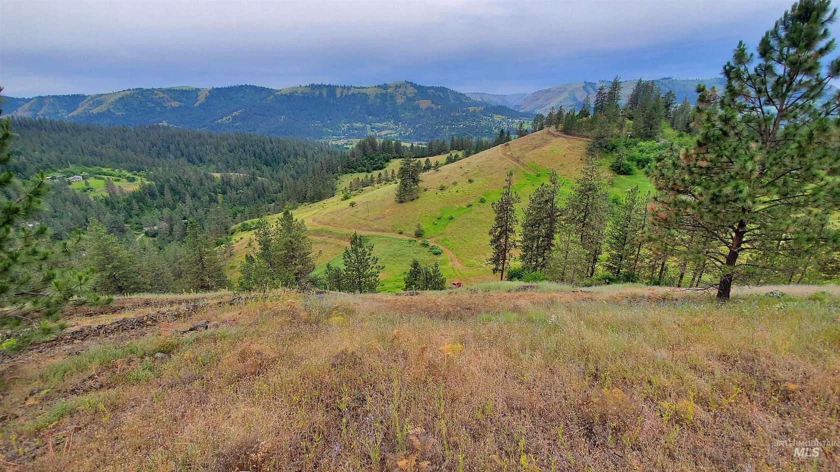 28.8 Acres of Land for Sale in Kamiah, Idaho