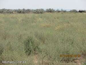 4.75 Acres of Residential Land for Sale in La Plata, New Mexico