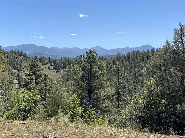 51.4 Acres of Land for Sale in Pagosa Springs, Colorado