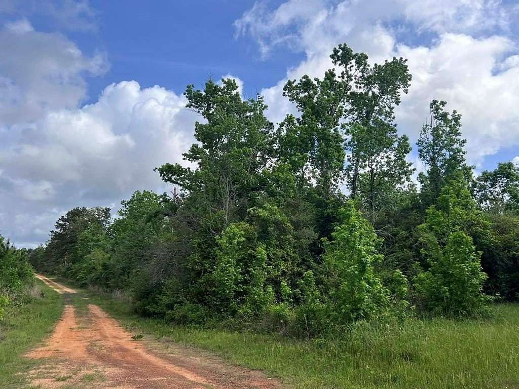 10 Acres of Residential Land for Sale in Newton, Texas