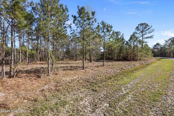 0.58 Acres of Residential Land for Sale in Vandemere, North Carolina