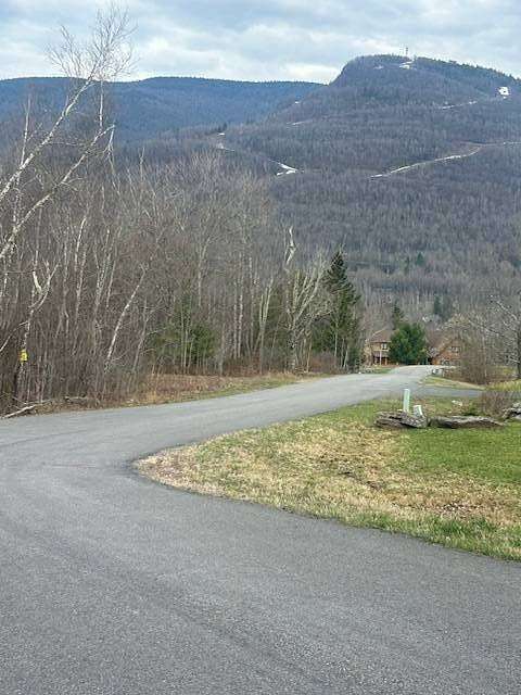 3.9 Acres of Land for Sale in Hunter, New York