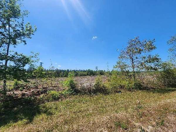 218 Acres of Recreational & Residential Land for Sale in Uriah, Alabama