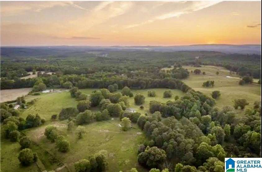 40 Acres of Land with Home for Sale in Lineville, Alabama