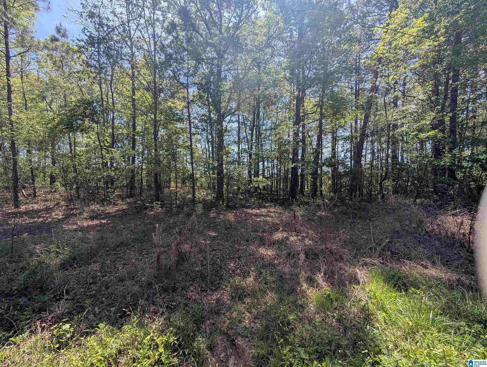 0.28 Acres of Residential Land for Sale in Gadsden, Alabama