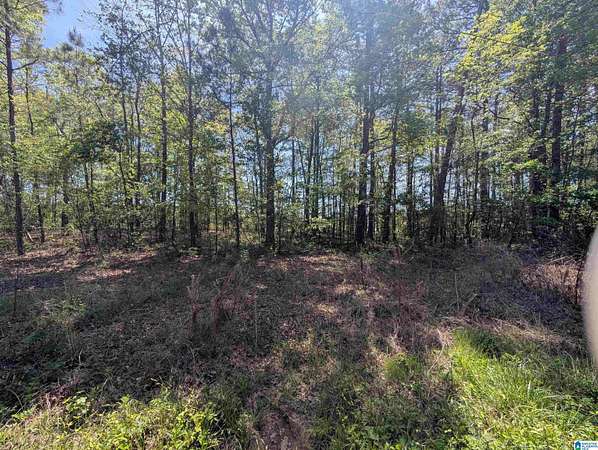 0.28 Acres of Residential Land for Sale in Gadsden, Alabama