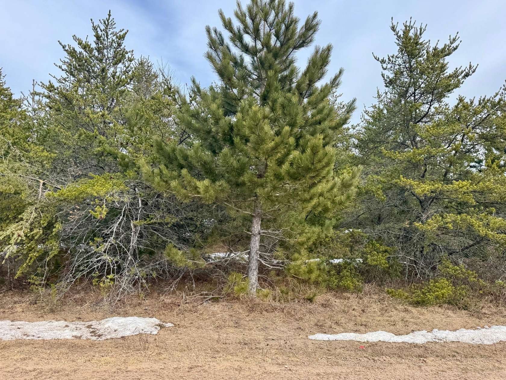 1.58 Acres of Residential Land for Sale in Woodruff, Wisconsin