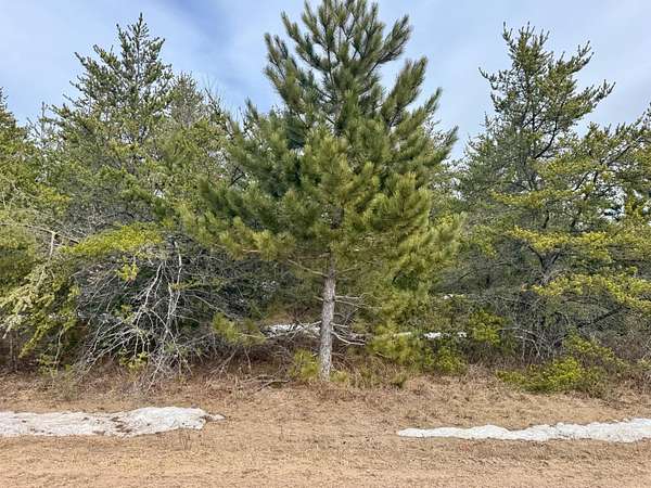 1.58 Acres of Residential Land for Sale in Woodruff, Wisconsin