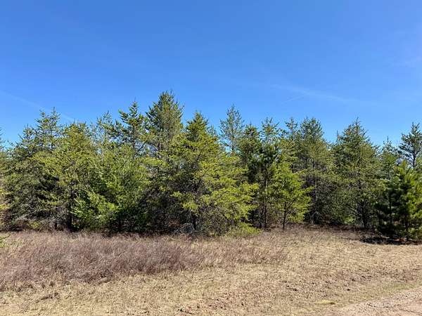 1.58 Acres of Residential Land for Sale in Woodruff, Wisconsin