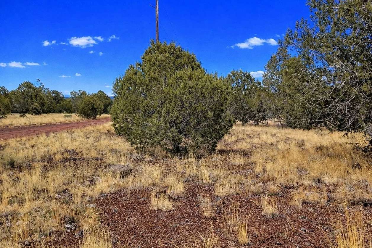 2.27 Acres of Residential Land for Sale in Williams, Arizona