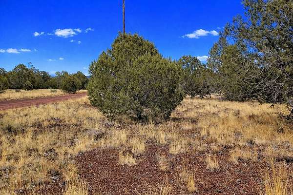 2.27 Acres of Residential Land for Sale in Williams, Arizona