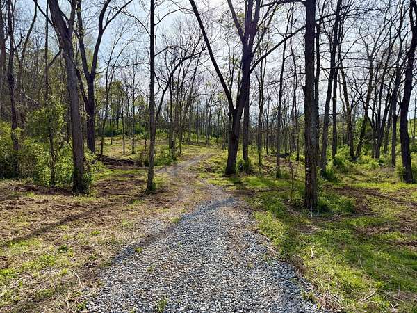 24 Acres of Recreational & Residential Land for Sale in Carlisle, Kentucky