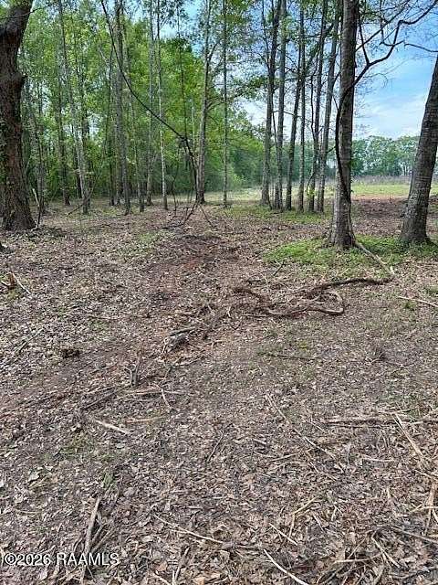 4 Acres of Residential Land for Sale in Arnaudville, Louisiana