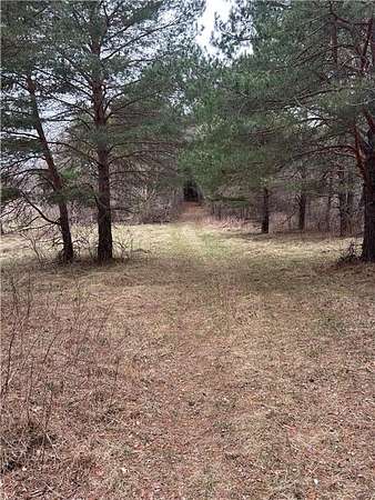 40 Acres of Land for Sale in Stanford Township, Minnesota
