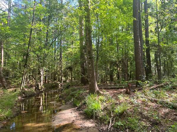47 Acres of Recreational Land for Sale in Hornbeck, Louisiana