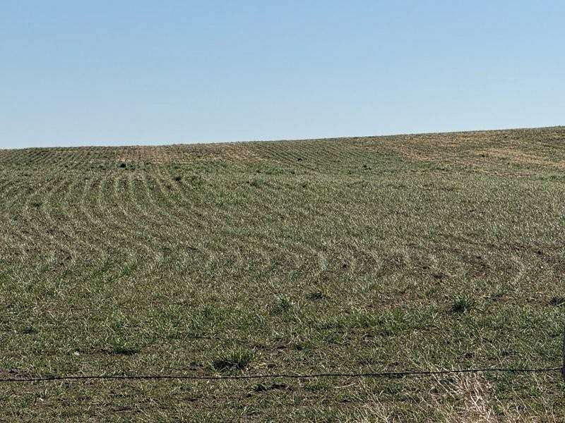 480 Acres of Agricultural Land for Sale in Cope, Colorado
