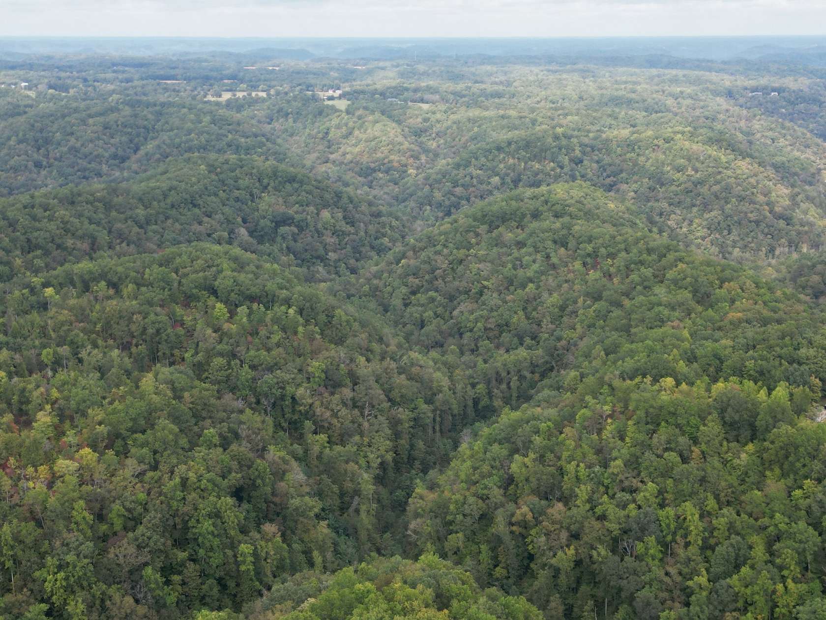 49.2 Acres of Recreational & Residential Land for Sale in Smithville, Tennessee