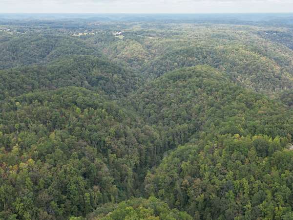 49.2 Acres of Recreational & Residential Land for Sale in Smithville, Tennessee