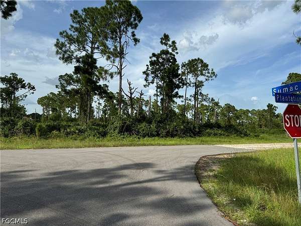 0.23 Acres of Residential Land for Sale in Lehigh Acres, Florida