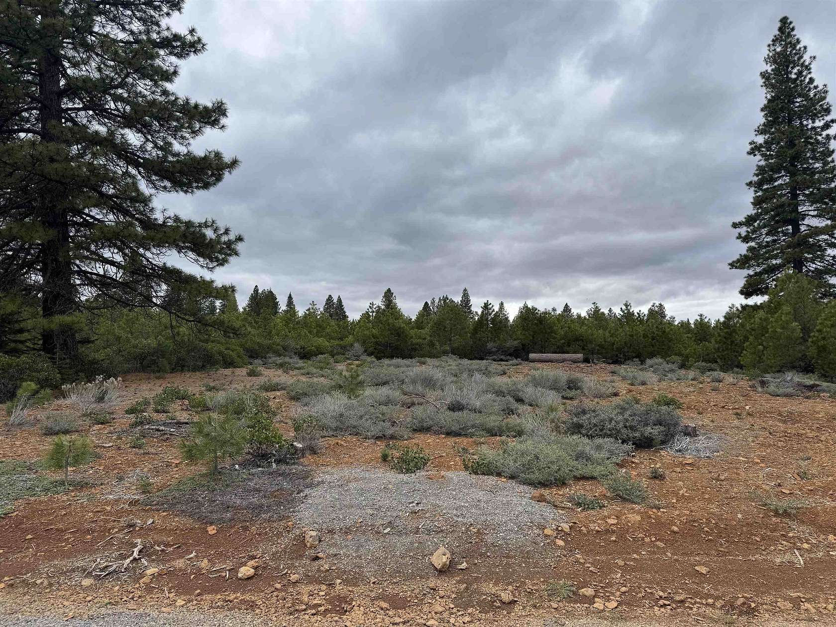 0.28 Acres of Land for Sale in Lake Almanor Peninsula, California