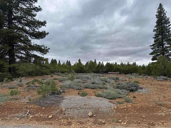 0.28 Acres of Land for Sale in Lake Almanor Peninsula, California