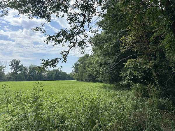 160 Acres of Land for Sale in Rockport, Indiana