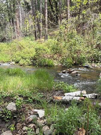 38.8 Acres of Recreational & Residential Land for Sale in Coulterville, California