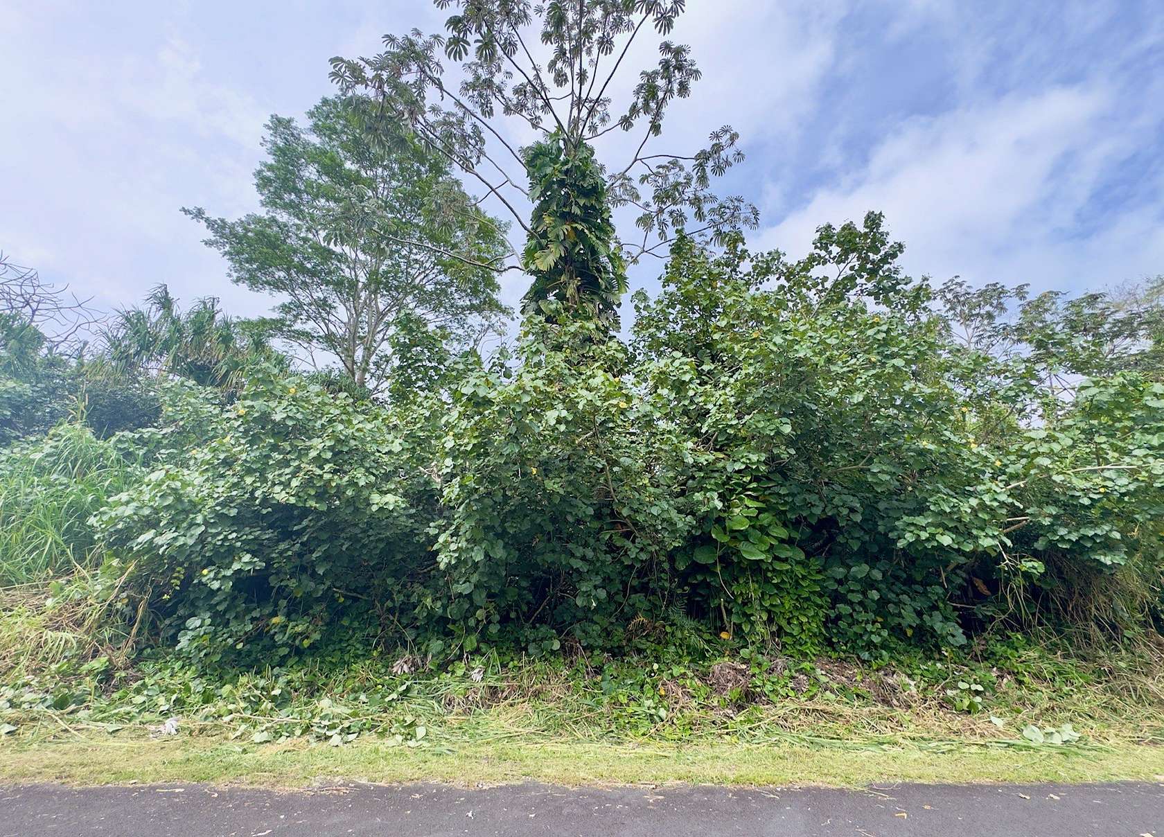 0.28 Acres of Land for Sale in Pahoa, Hawaii