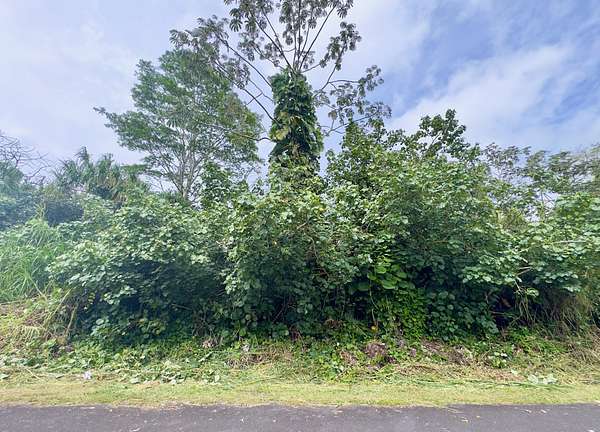 0.28 Acres of Land for Sale in Pahoa, Hawaii
