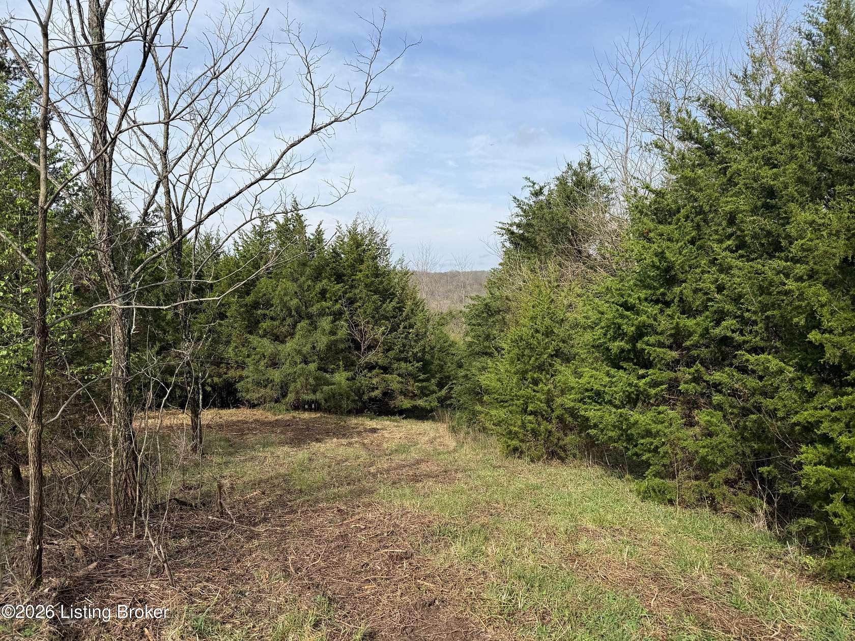 72.2 Acres of Land for Sale in Bedford, Kentucky