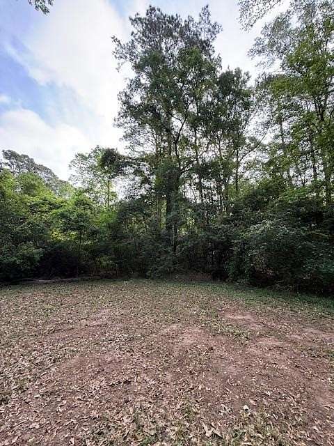 0.35 Acres of Residential Land for Sale in Hemphill, Texas