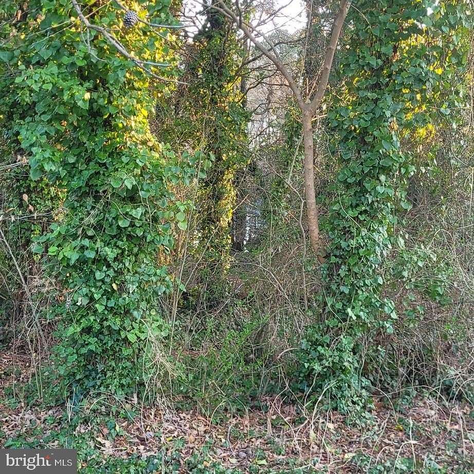 0.3 Acres of Residential Land for Sale in Lusby, Maryland