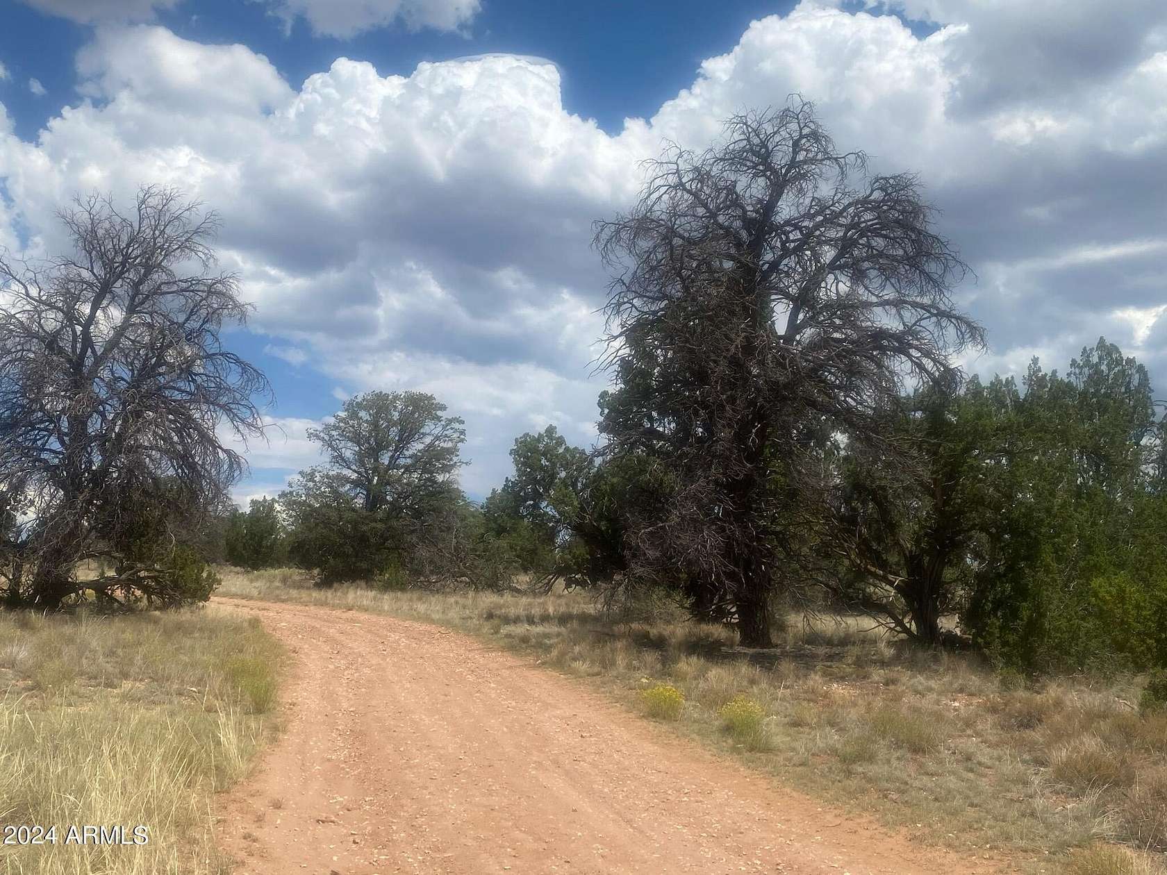 10.7 Acres of Land for Sale in Williams, Arizona