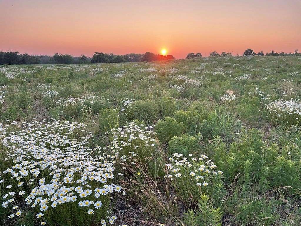 20.2 Acres of Recreational Land for Sale in Fish Creek, Wisconsin